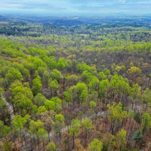 Photo #2 of CASTLETON VIEW ROAD, CASTLETON, VA 25.2 acres