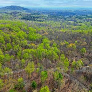 Photo #9 of CASTLETON VIEW ROAD, CASTLETON, VA 25.2 acres