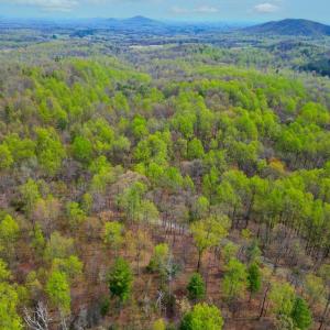 Photo #10 of CASTLETON VIEW ROAD, CASTLETON, VA 25.2 acres