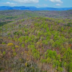 Photo #1 of CASTLETON VIEW ROAD, CASTLETON, VA 25.2 acres
