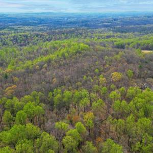 Photo #8 of CASTLETON VIEW ROAD, CASTLETON, VA 25.2 acres
