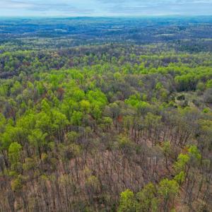 Photo #32 of CASTLETON VIEW ROAD, CASTLETON, VA 25.2 acres