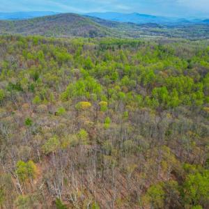 Photo #33 of CASTLETON VIEW ROAD, CASTLETON, VA 25.2 acres