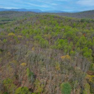 Photo #34 of CASTLETON VIEW ROAD, CASTLETON, VA 25.2 acres