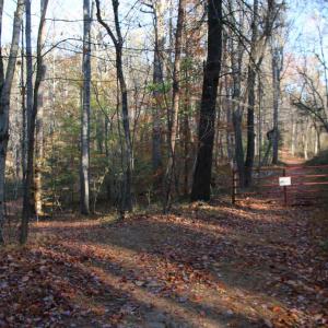 Photo #2 of MIDDLE OF NO WAY LN, CASTLETON, VA 30.5 acres
