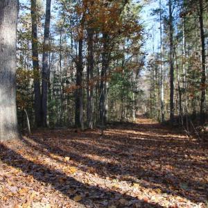 Photo #22 of MIDDLE OF NO WAY LN, CASTLETON, VA 30.5 acres