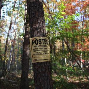 Photo #18 of MIDDLE OF NO WAY LN, CASTLETON, VA 30.5 acres