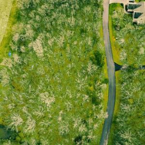 Photo #5 of SHENANDOAH CROSSING DR, GORDONSVILLE, VA 0.6 acres