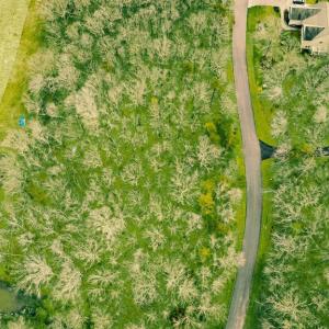 Photo #7 of SHENANDOAH CROSSING DR, GORDONSVILLE, VA 0.6 acres