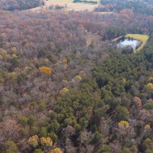 Photo #7 of 14 SHENANDOAH PATH, CATLETT, VA 14.3 acres