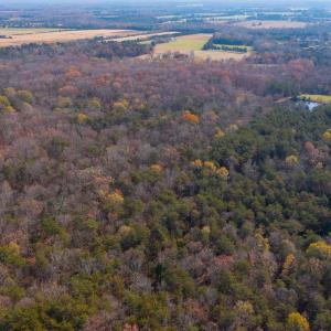 Photo #13 of 14 SHENANDOAH PATH, CATLETT, VA 14.3 acres