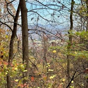 Photo #2 of WOODLANDS DRIVE, FLINT HILL, VA 14.4 acres