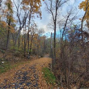 Photo #29 of WOODLANDS DRIVE, FLINT HILL, VA 14.4 acres