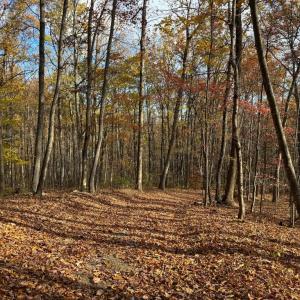 Photo #6 of WOODLANDS DRIVE, FLINT HILL, VA 14.4 acres