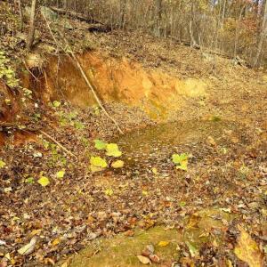 Photo #7 of WOODLANDS DRIVE, FLINT HILL, VA 14.4 acres