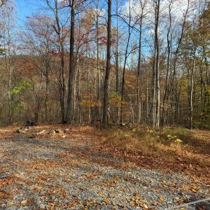 Photo #8 of WOODLANDS DRIVE, FLINT HILL, VA 14.4 acres