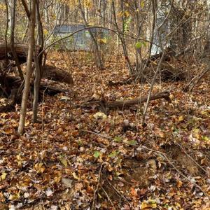 Photo #12 of WOODLANDS DRIVE, FLINT HILL, VA 14.4 acres