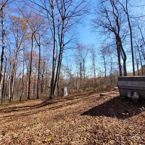 Photo #13 of WOODLANDS DRIVE, FLINT HILL, VA 14.4 acres