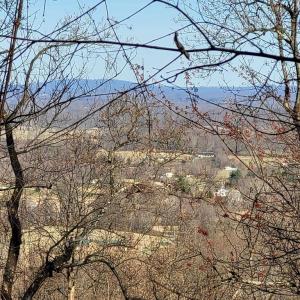 Photo #4 of WOODLANDS DRIVE, FLINT HILL, VA 14.4 acres