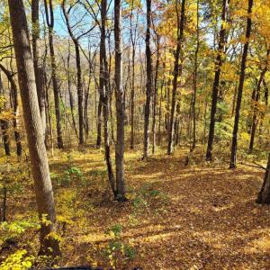 Photo #14 of WOODLANDS DRIVE, FLINT HILL, VA 14.4 acres