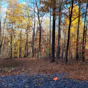 Photo #15 of WOODLANDS DRIVE, FLINT HILL, VA 14.4 acres