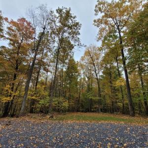 Photo #21 of WOODLANDS DRIVE, FLINT HILL, VA 14.4 acres