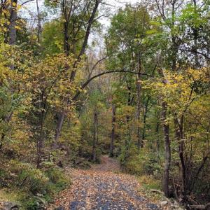 Photo #22 of WOODLANDS DRIVE, FLINT HILL, VA 14.4 acres