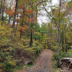 Photo #23 of WOODLANDS DRIVE, FLINT HILL, VA 14.4 acres