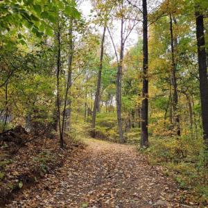 Photo #24 of WOODLANDS DRIVE, FLINT HILL, VA 14.4 acres