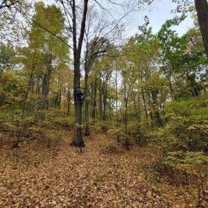 Photo #26 of WOODLANDS DRIVE, FLINT HILL, VA 14.4 acres