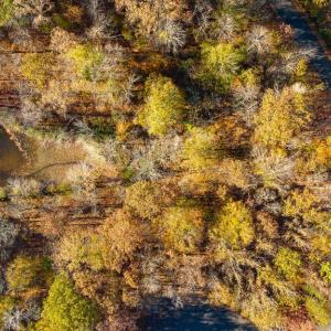 Photo #9 of 13 GLEN EAGLES DR, GORDONSVILLE, VA 0.5 acres