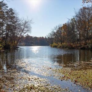 Photo #1 of 13 GLEN EAGLES DR, GORDONSVILLE, VA 0.5 acres