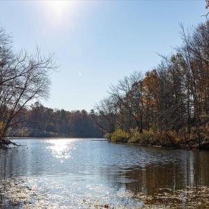 Photo #6 of 13 GLEN EAGLES DR, GORDONSVILLE, VA 0.5 acres