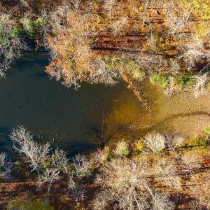 Photo #17 of 14 GLEN EAGLES DR, GORDONSVILLE, VA 0.5 acres