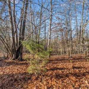 Photo #60 of 14 GLEN EAGLES DR, GORDONSVILLE, VA 0.5 acres