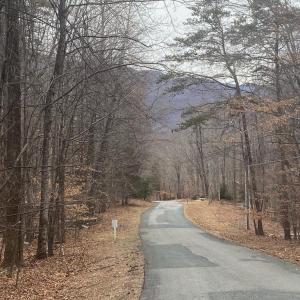 Photo #4 of DOGWOOD LANE, NELLYSFORD, VA 1.3 acres