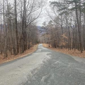 Photo #12 of DOGWOOD LANE, NELLYSFORD, VA 1.3 acres