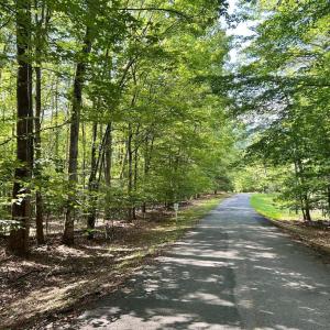 Photo #10 of DOGWOOD LANE, NELLYSFORD, VA 1.3 acres