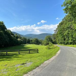Photo #16 of DOGWOOD LANE, NELLYSFORD, VA 1.3 acres