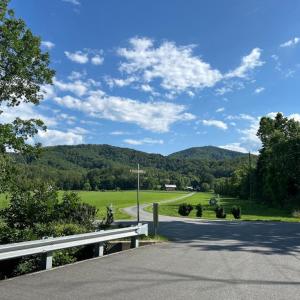 Photo #17 of DOGWOOD LANE, NELLYSFORD, VA 1.3 acres