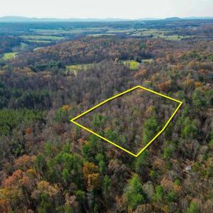 Photo #7 of SEVILLE RD, ROCHELLE, VA 3.0 acres