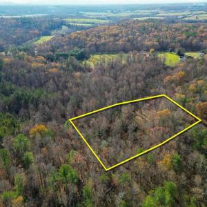 Photo #8 of SEVILLE RD, ROCHELLE, VA 3.0 acres