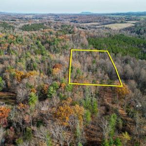Photo #9 of SEVILLE RD, ROCHELLE, VA 3.0 acres