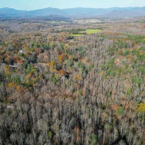Photo #12 of SEVILLE RD, ROCHELLE, VA 3.0 acres