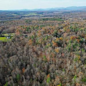 Photo #14 of SEVILLE RD, ROCHELLE, VA 3.0 acres