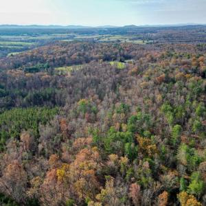 Photo #16 of SEVILLE RD, ROCHELLE, VA 3.0 acres