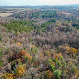 Photo #19 of SEVILLE RD, ROCHELLE, VA 3.0 acres