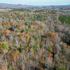 Photo #22 of SEVILLE RD, ROCHELLE, VA 3.0 acres