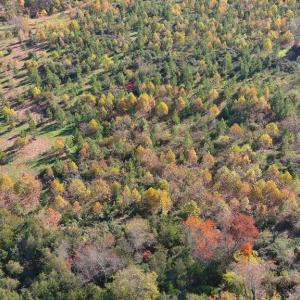 Photo #7 of OLD BARBOURSVILLE RD, GORDONSVILLE, VA 135.8 acres