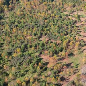 Photo #4 of OLD BARBOURSVILLE RD, GORDONSVILLE, VA 135.8 acres